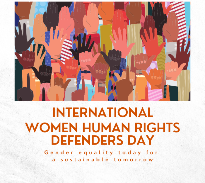 Celebrating Courage: Empowering Human Rights Defenders – IHRDD 2023